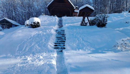 Kuća za odmor Foresta - Foto 3