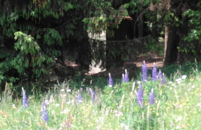 Comfortable Apartment in Nemojov Near Forest - Foto 80