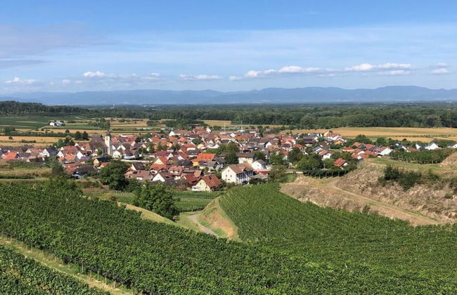 Holiday Apartment Kromer - Foto 33