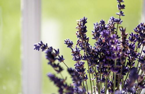 Carr Cottage - Foto 7