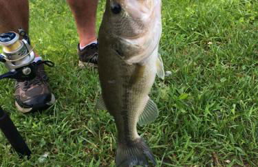 New Luxury 4 bedroom Mountain View Home w/hot tub! - Foto 41