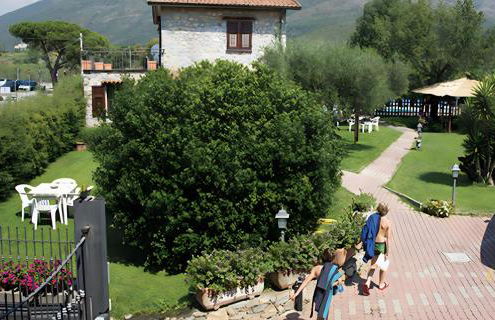 Agriturismo Il Colletto - Foto 7