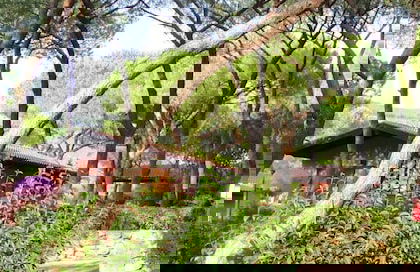 Camping Lacona Pineta - Photo 15