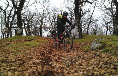 Villa Riverwood - Foto 62