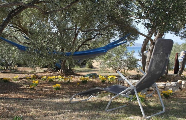 Peaceful 2-bedroom Robinson House Orca - Photo 14