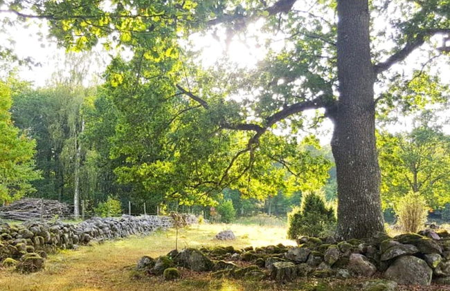 8 Person Holiday Home in Anneby - Foto 3