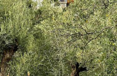 Maison de vacances pour 6 personnes - Photo 41