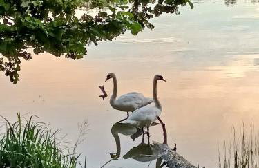 Domek Konrad - balia ogrodowa dodatkowo płatna - Foto 51