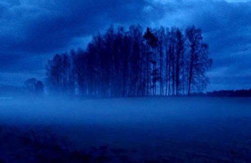 Domek de Janauis - Foto 41