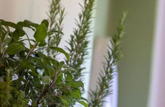 Appartamento VISTA MARE Lerici L'elce sul mare - Foto 24