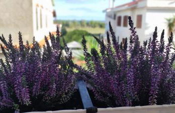 Vistamare maddalena spiaggia - Foto 32