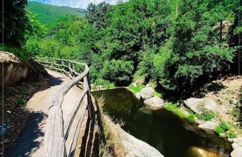 Gredos Starlight House - Foto 24