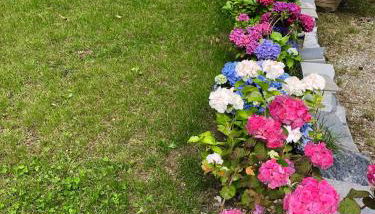 La casa del cuore - Foto 4