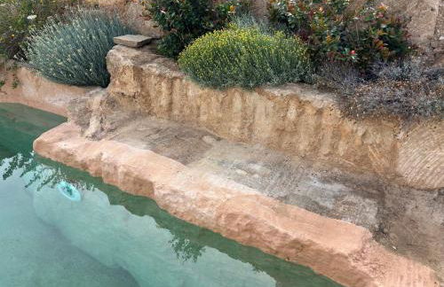 FICOMORO FARM - Foto 23