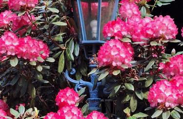 Traumhaftes Reetdachhaus "Grote Eken" in der Lüneburger Heide - Foto 7