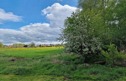 Ferienwohnung Lootsenhuus 85115 - Foto 19