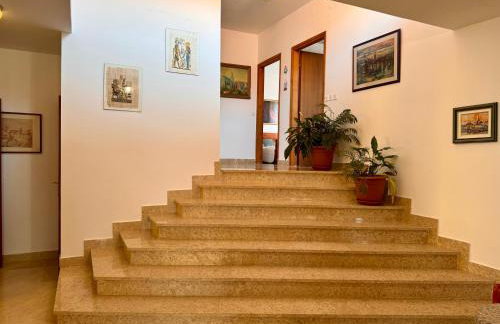 Apartman Ostrea *** - Foto 23