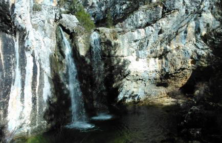 Anatiduero - Foto 26