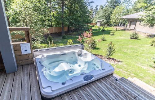 Évasion luxueuse avec spa privatif, golf et activités pour tous au Chambon-sur-Lignon - FR-1-582-369 - Foto 12