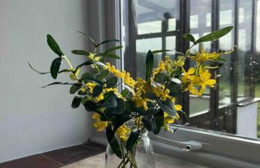 Gors Eilian - Photo 17