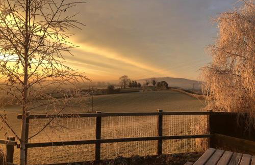 Betula Views - Photo 30