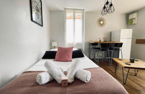 Duplex in the heart of Toulouse - Photo 7