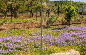 Alle Preziose Dimore - Foto 35