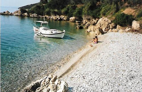 Epavli Sofia' s two Apartments in Horto, 30m from the sea - Foto 67