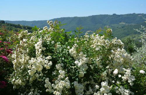 Il Poggiolo di Parrano - Foto 36