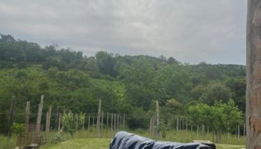 Casa, sítio, aconchegante no Vale dos Vinhedos. - Foto 4