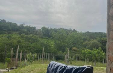 Casa, sítio, aconchegante no Vale dos Vinhedos. - Foto 4