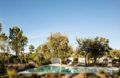 Deluxe Comporta Mundo - Foto 23