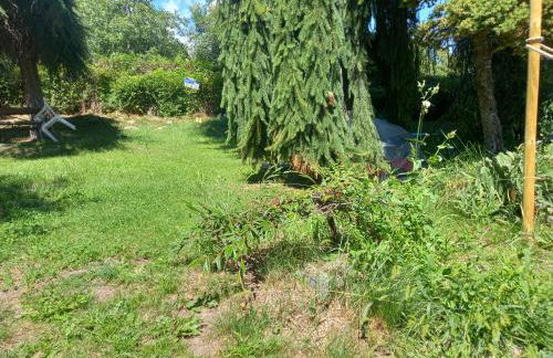 Maison du bois - Photo 7