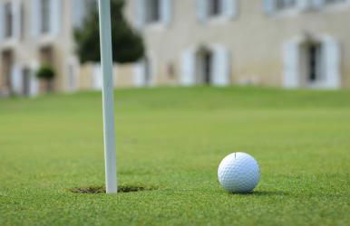 Terra Gasconha - Foto 37