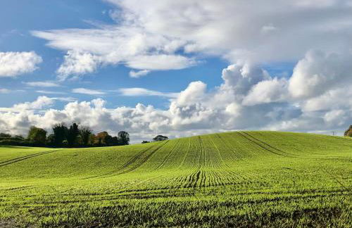 The Architect's Mews - Foto 16