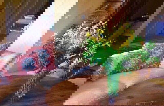 Maison d'hotes l'Amiradou - Foto 17