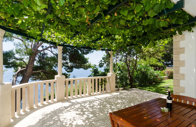 Plavac Mali - Photo 10