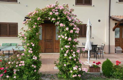 Nonna Alda - Foto 23