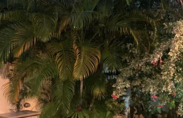 Praia das Cigarras São Sebastião a 50 metros da praia - Wi-Fi - 500 Mega - Foto 13