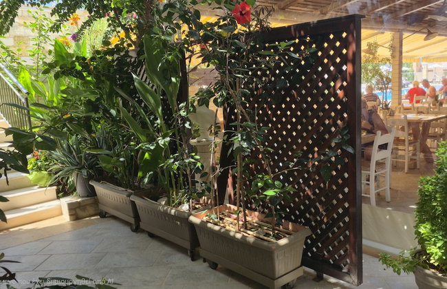 Isida Hotel - Photo 19
