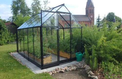 U Aptekarzy - Foto 49