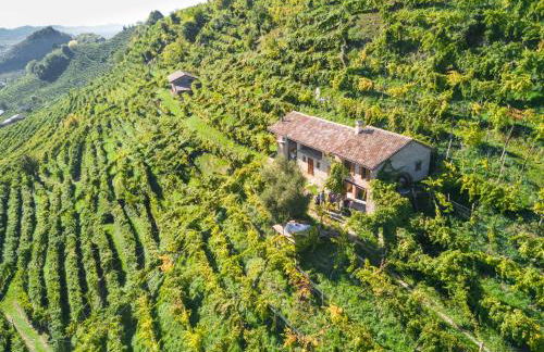 Azienda Agricola Campion - Foto 53