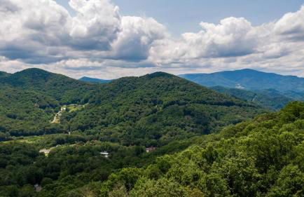 Bearingers Bluff at Eagles Nest - Foto 48