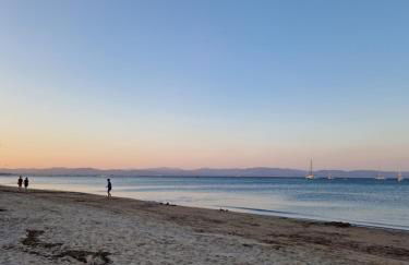 Les flamants roses de la Capte T3 - Foto 29