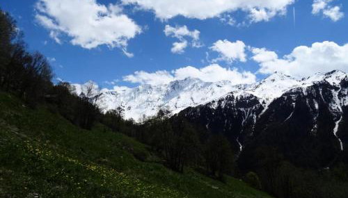 Résidence Plein Sud - Plan Peisey - Studio 4 personnes à Plan Peisey proche des commerces et des pistes MAE-1964 - Foto 5