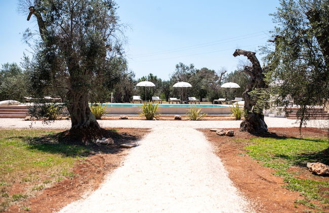 Stunning Villa Surrounded by Olive Trees - Beahost - Foto 71