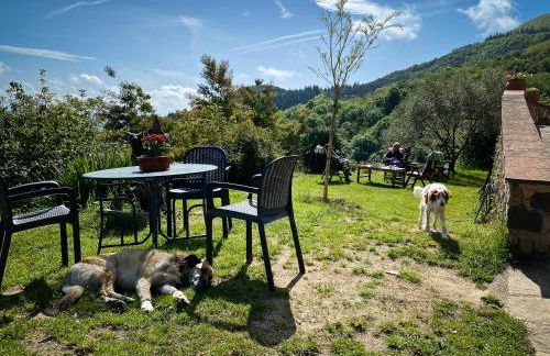 El Buxaus de la Muntanya - Foto 13