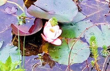 Le Hameau Secret - Foto 58