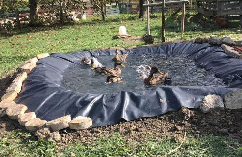 Casa CampoSelvatico - Foto 38