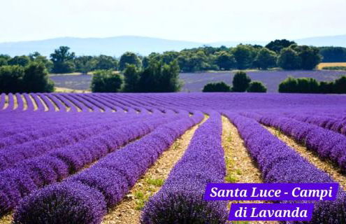 A due passi dal mare - Foto 27